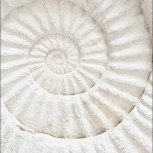 Meet your Posher, Par la Mer